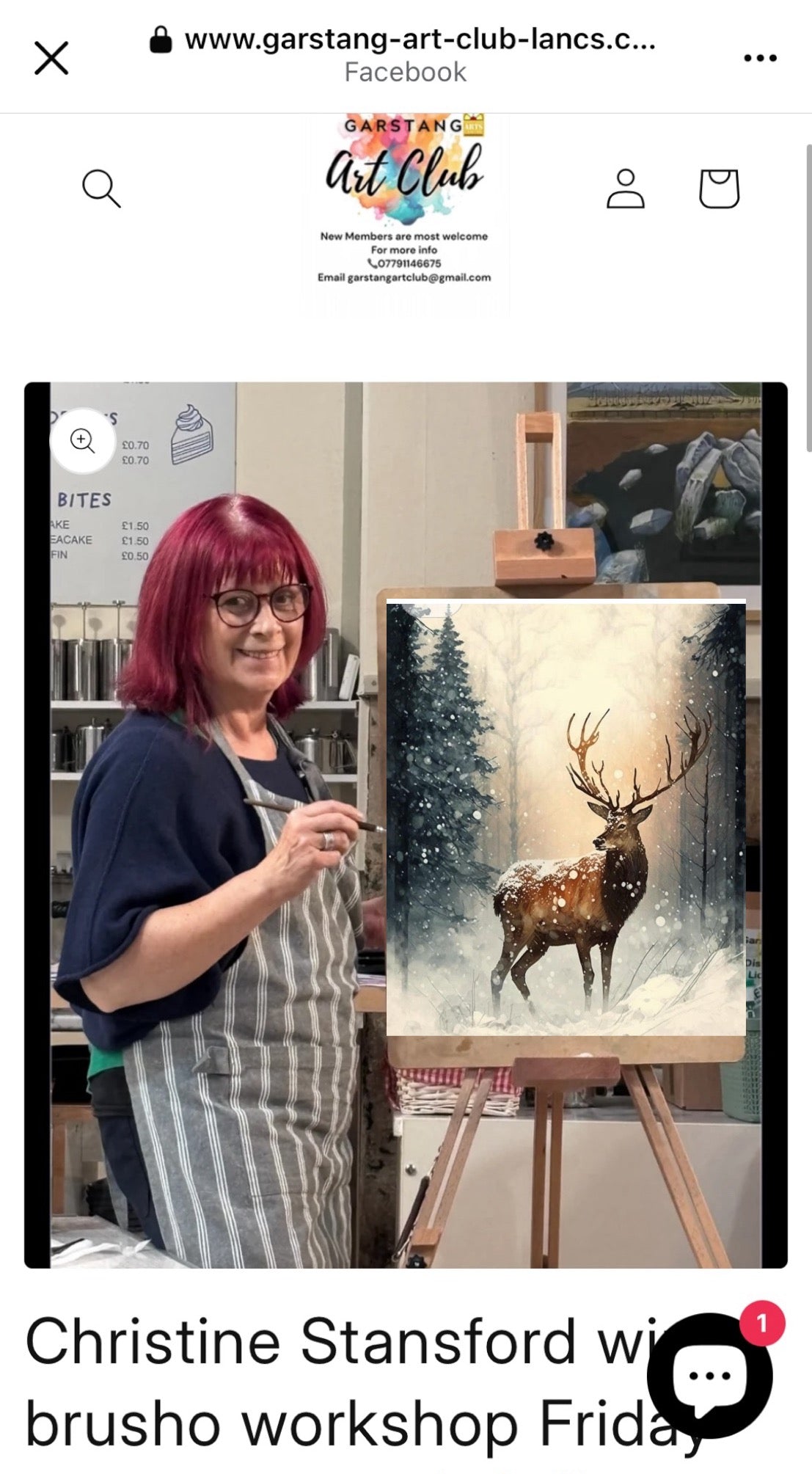 Christine Stansford winter brusho workshop Friday 5th Dec 7pm ⭐️🎄❄️
